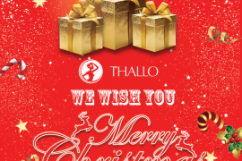 Merry Christmas and Happy new year